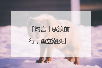 灼言丨驭浪前行，勇立潮头