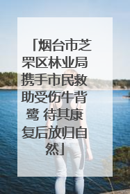烟台市芝罘区林业局携手市民救助受伤牛背鹭 待其康复后放归自然