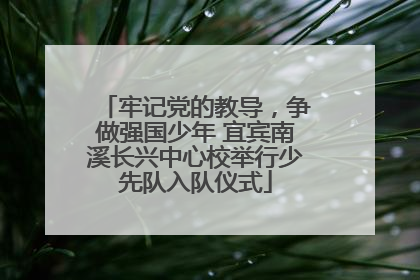 牢记党的教导，争做强国少年 宜宾南溪长兴中心校举行少先队入队仪式