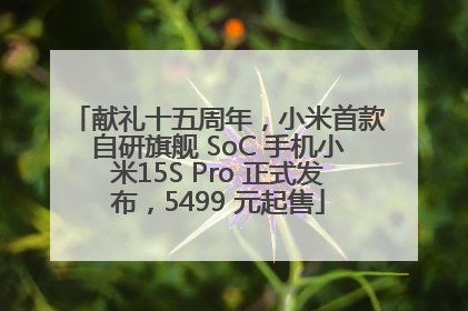 献礼十五周年，小米首款自研旗舰 SoC 手机小米15S Pro 正式发布，5499 元起售