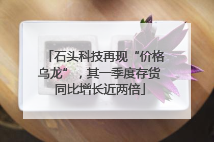 石头科技再现“价格乌龙”，其一季度存货同比增长近两倍