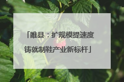 睢县：扩规模提速度 铸就制鞋产业新标杆