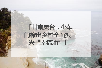 甘肃灵台：小车间榨出乡村全面振兴“幸福油”