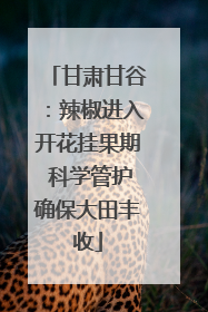 甘肃甘谷：辣椒进入开花挂果期 科学管护确保大田丰收