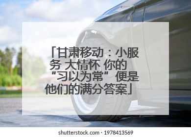 甘肃移动：小服务 大情怀 你的“习以为常”便是他们的满分答案