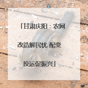 甘肃庆阳：农网改造解民忧 配变投运促振兴