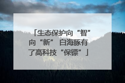 生态保护向“智”向“新” 白海豚有了高科技“保镖”