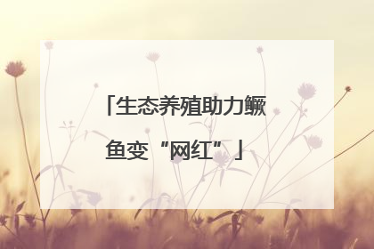 生态养殖助力鳜鱼变“网红”