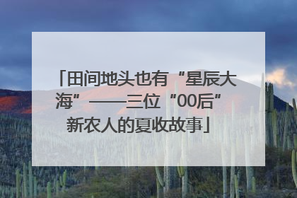 田间地头也有“星辰大海”——三位“00后”新农人的夏收故事