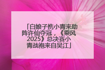 白娘子携小青来助阵许仙夺冠，《乘风2025》总决赛小青战袍来自吴江