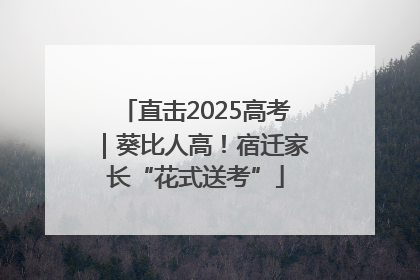 直击2025高考｜葵比人高！宿迁家长“花式送考”