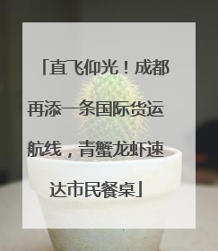 直飞仰光！成都再添一条国际货运航线，青蟹龙虾速达市民餐桌