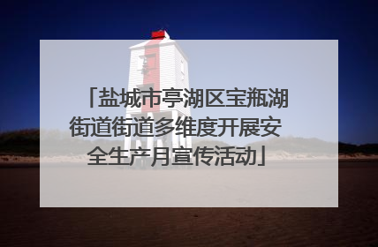 盐城市亭湖区宝瓶湖街道街道多维度开展安全生产月宣传活动