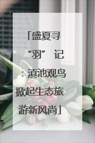 盛夏寻 “羽” 记：滇池观鸟掀起生态旅游新风尚