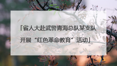 省人大赴武警青海总队某支队开展“红色革命教育”活动