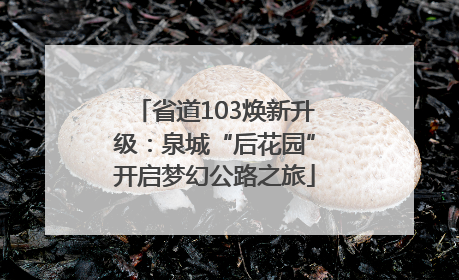 省道103焕新升级：泉城“后花园”开启梦幻公路之旅