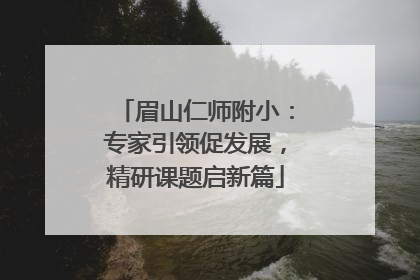 眉山仁师附小：专家引领促发展，精研课题启新篇