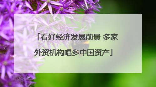 看好经济发展前景 多家外资机构唱多中国资产