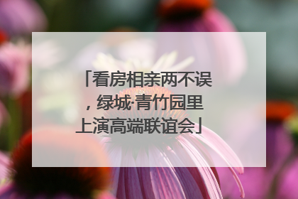 看房相亲两不误，绿城·青竹园里上演高端联谊会