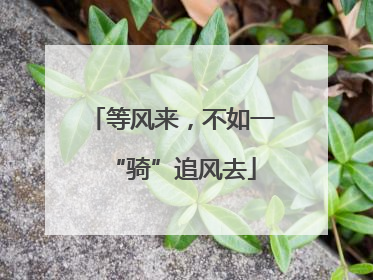 等风来，不如一“骑”追风去