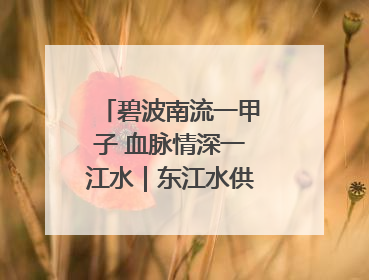 碧波南流一甲子 血脉情深一江水｜东江水供港60周年