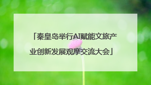 秦皇岛举行AI赋能文旅产业创新发展观摩交流大会