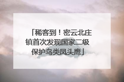 稀客到！密云北庄镇首次发现国家二级保护鸟类凤头鹰