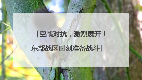 空战对抗，激烈展开！东部战区时刻准备战斗