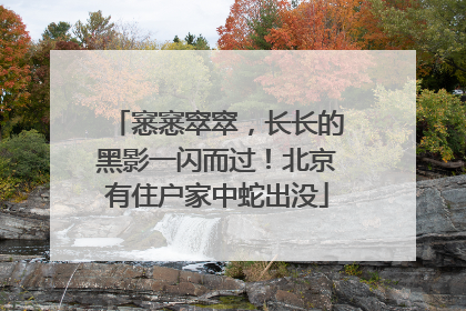 窸窸窣窣，长长的黑影一闪而过！北京有住户家中蛇出没