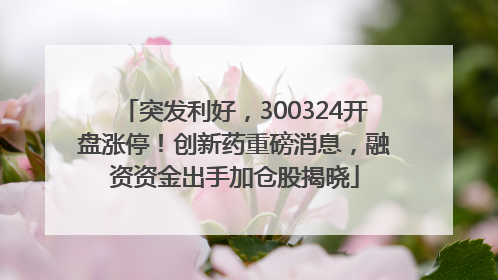 突发利好，300324开盘涨停！创新药重磅消息，融资资金出手加仓股揭晓