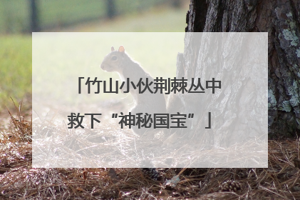 竹山小伙荆棘丛中救下“神秘国宝”