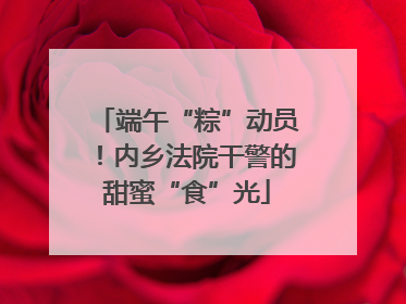 端午“粽”动员！内乡法院干警的甜蜜“食”光
