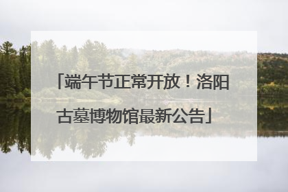 端午节正常开放！洛阳古墓博物馆最新公告