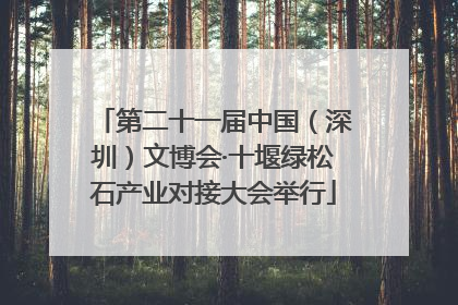 第二十一届中国（深圳）文博会·十堰绿松石产业对接大会举行
