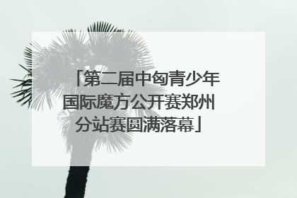 第二届中匈青少年国际魔方公开赛郑州分站赛圆满落幕