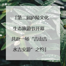 第二届庐陵文化生态旅游节开幕 共赴一场“吉山吉水吉安游”之约