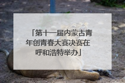 第十一届内蒙古青年创青春大赛决赛在呼和浩特举办