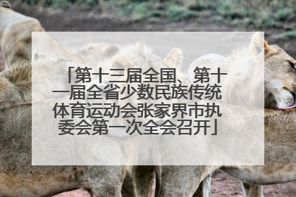 第十三届全国、第十一届全省少数民族传统体育运动会张家界市执委会第一次全会召开