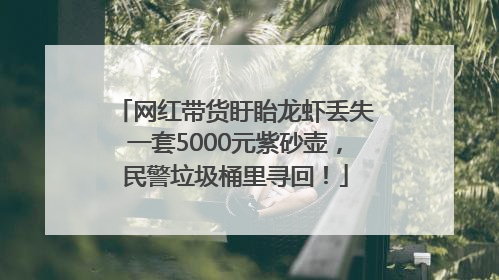网红带货盱眙龙虾丢失一套5000元紫砂壶，民警垃圾桶里寻回！