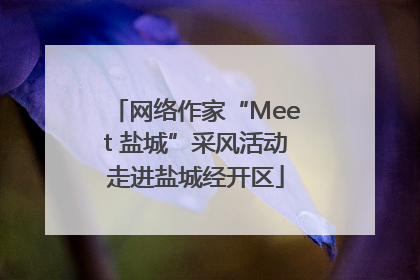 网络作家“Meet 盐城”采风活动走进盐城经开区