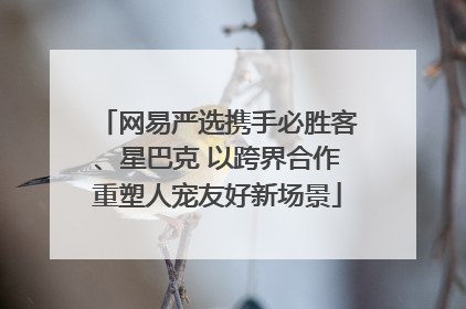 网易严选携手必胜客、星巴克 以跨界合作重塑人宠友好新场景