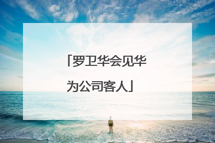罗卫华会见华为公司客人