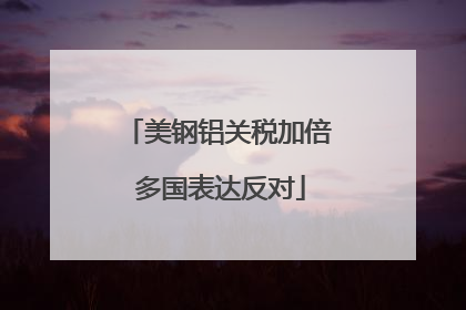 美钢铝关税加倍 多国表达反对