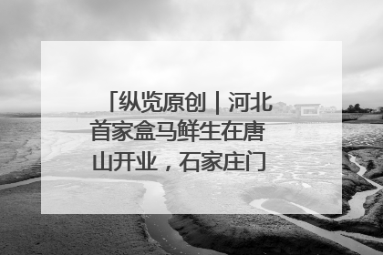纵览原创｜河北首家盒马鲜生在唐山开业，石家庄门店预计8月开业