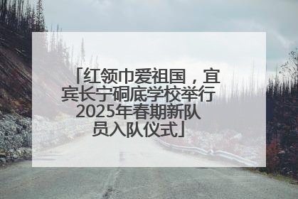 红领巾爱祖国，宜宾长宁硐底学校举行2025年春期新队员入队仪式