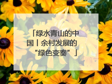 绿水青山的中国丨余村发展的“绿色变奏”
