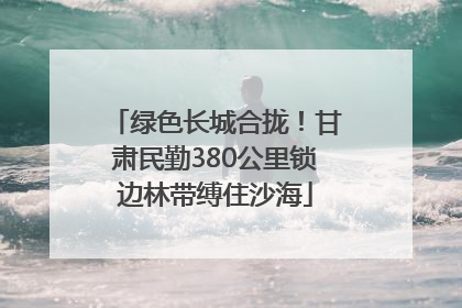 绿色长城合拢！甘肃民勤380公里锁边林带缚住沙海