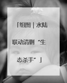 组图｜水陆联动清剿“生态杀手”