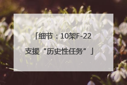 细节：10架F-22支援“历史性任务”