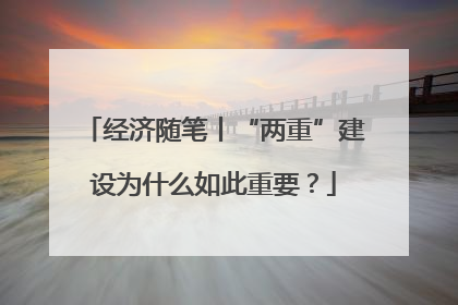 经济随笔丨“两重”建设为什么如此重要？